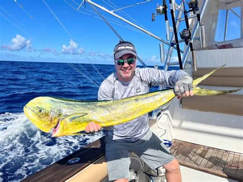 bvi fishing license|What to Know about Fishing in the BVI .